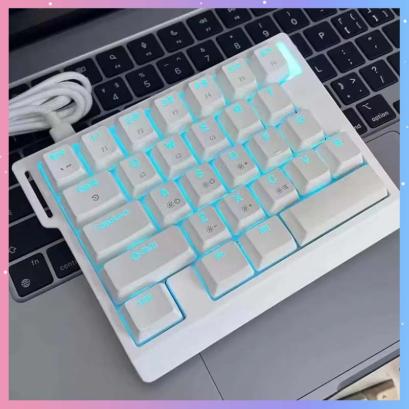 Gaming Keyboard Esports - HE30 Mechanisch Gaming Toetsenbord 29 toetsen