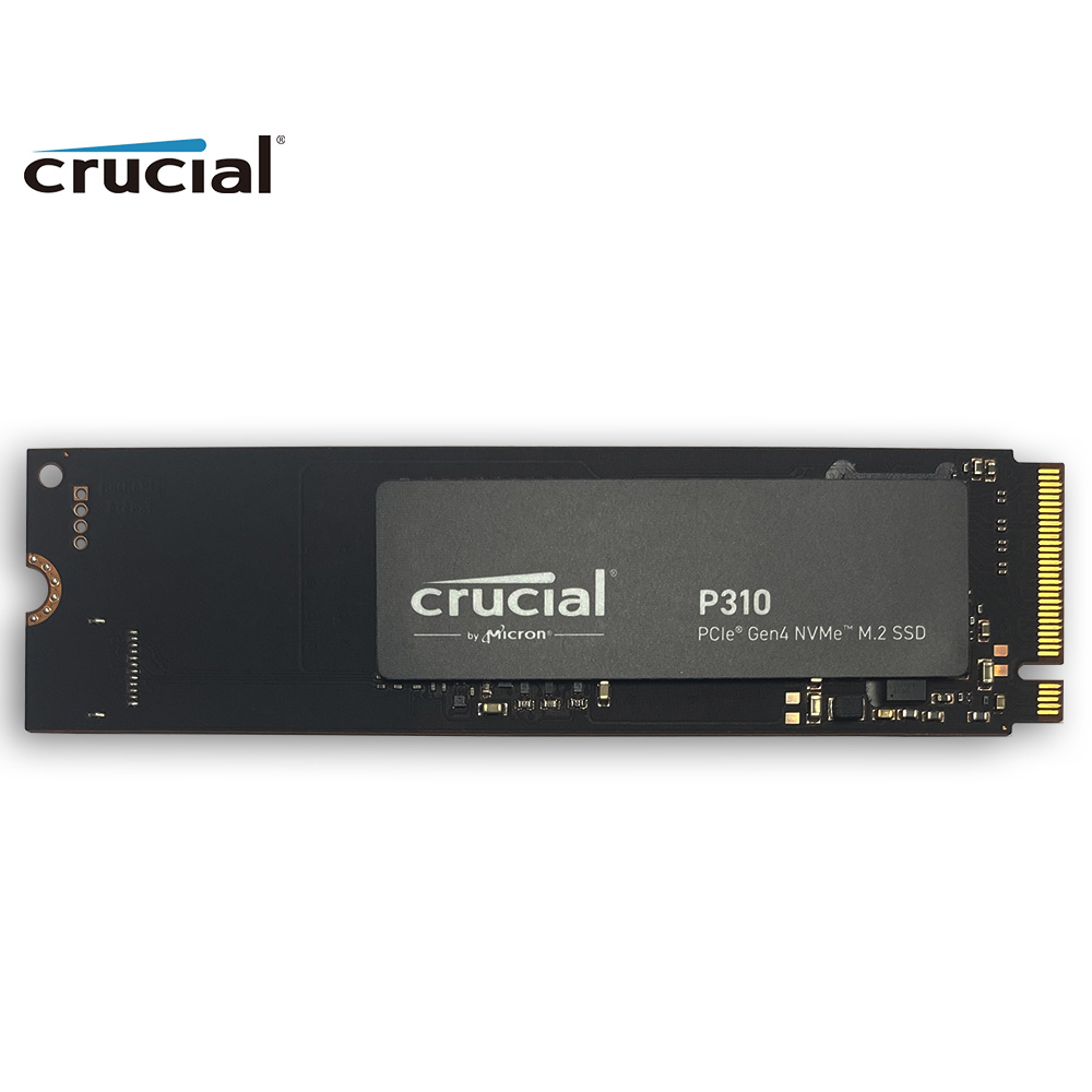 Crucial P310 1TB 2280 PCIe Gen - Samsung Ssd 980 Pro recensie en prijs
